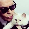 Karl-Lagerfeld