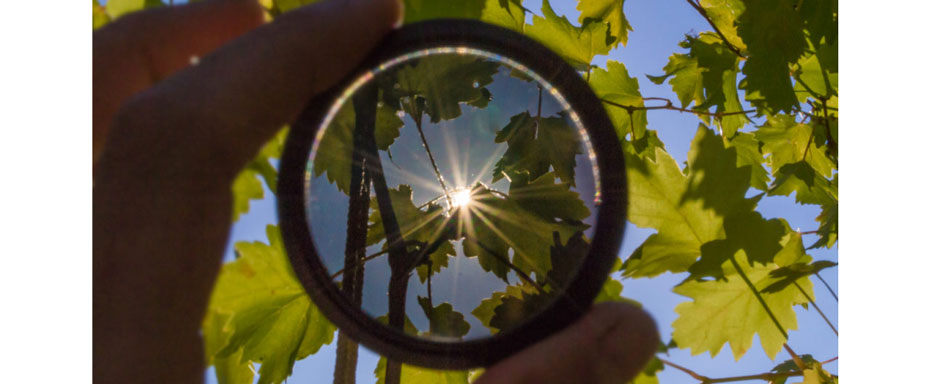 Polarizing and Protective Effect Lenses