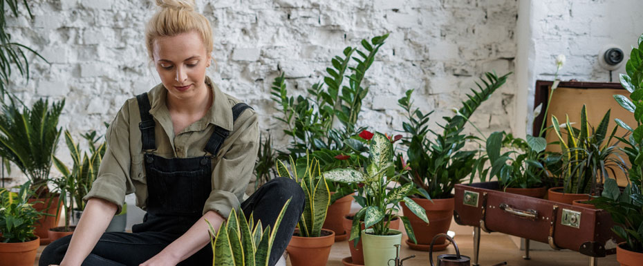 Woman doing Houseplant in house