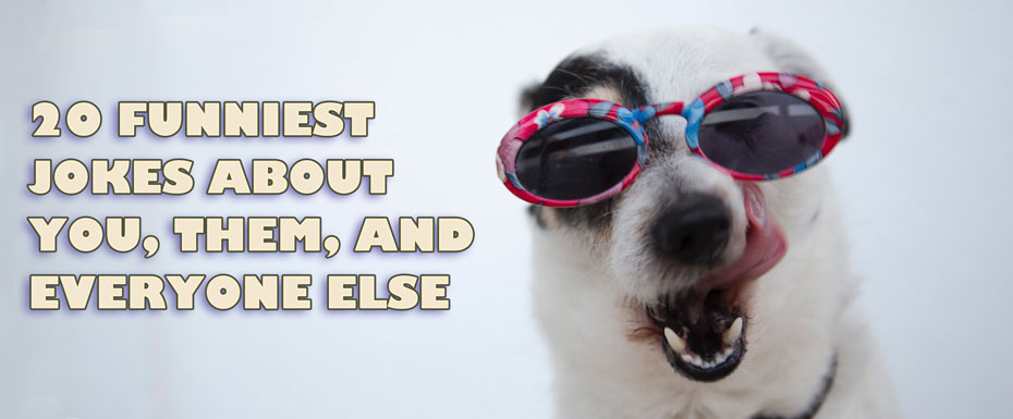 Funny dog in sunglasses