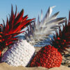 Pineapple on the beach on sunny day!