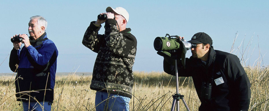 a group of men stand birdwatching