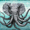 Graffiti on the cyan wall drawn elephant changing to octopus