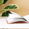 Book left open on white table in modern room with green ficus plants