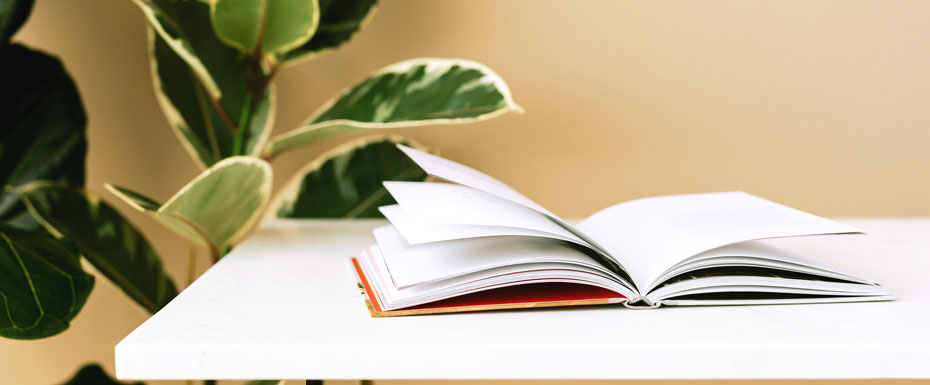 Book left open on white table in modern room with green ficus plants