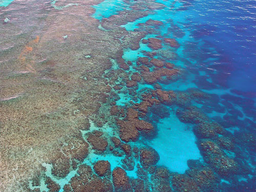 great-barrier-reef