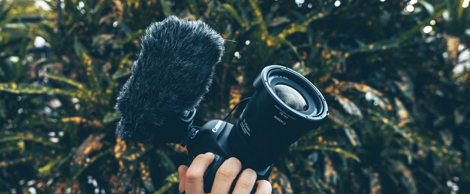 Person Holding Video Camera