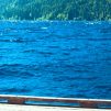 Topless Person Jumping Towards Water From White Wooden Dock